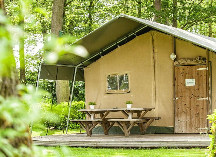 Unterkunft 294817 - Zelthaus Achterhoek - Safaritent