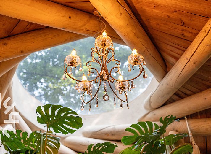 Unterkunft DG1417 in Neede, Achterhoek, umgeben von ueppiger Natur mit einem Grasdach und einem gemuetlichen Aussenbereich.