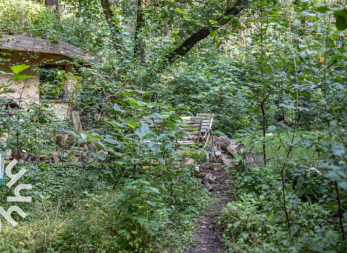 Gemuetliche Feuerstelle im Garten von DG1417, einem Ferienhaus in Neede, Achterhoek, umgeben von bewaldeter Landschaft.