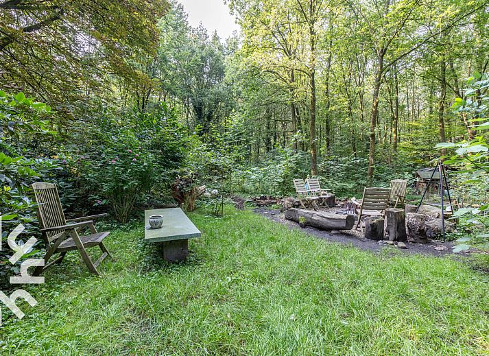 Innendetail der DG1417 in Neede, Achterhoek mit dekorativen Elementen und informativem Buecherregal.