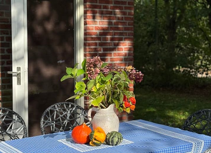 Guest house 294827 - Holiday property Achterhoek - Vakantiehuisje in Neede