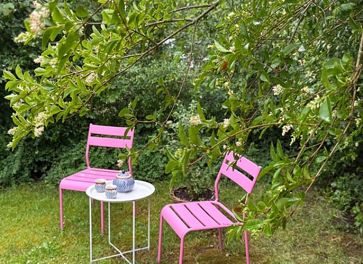 Guest house 294827 - Holiday property Achterhoek - Vakantiehuisje in Neede