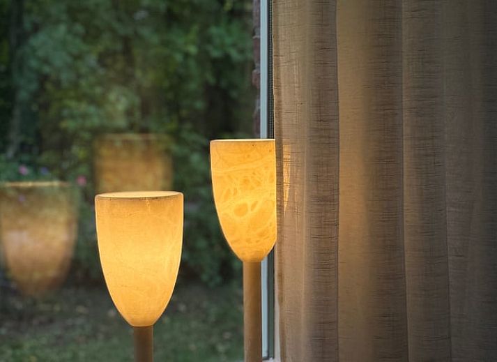 Guest house 294827 - Holiday property Achterhoek - Vakantiehuisje in Neede