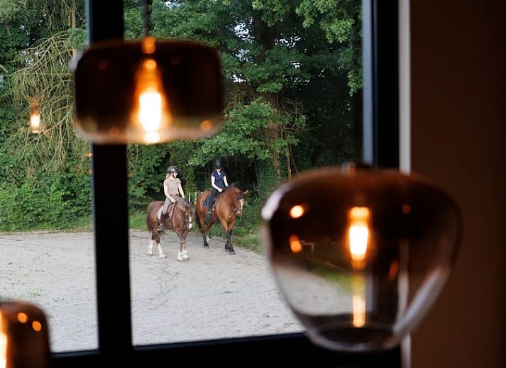 Rustieke buitenkant van Vakantiehuisje in Neede, Achterhoek, ideaal voor een ontspannen verblijf.