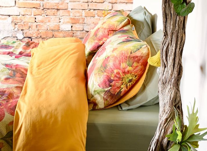 Unterkunft 294834 - Ferienhaus Achterhoek - Vakantiehuisje in Neede