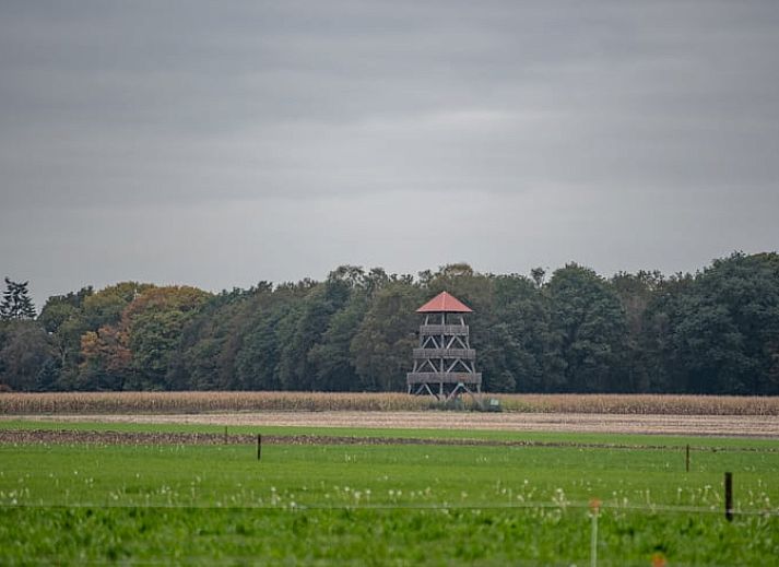 Unterkunft 294834 - Ferienhaus Achterhoek - Vakantiehuisje in Neede