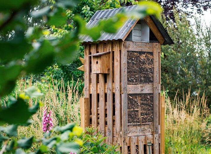 Unterkunft 294834 - Ferienhaus Achterhoek - Vakantiehuisje in Neede