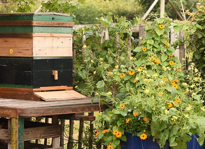 Unterkunft 294834 - Ferienhaus Achterhoek - Vakantiehuisje in Neede