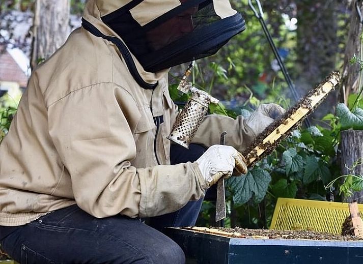 Unterkunft 294834 - Ferienhaus Achterhoek - Vakantiehuisje in Neede