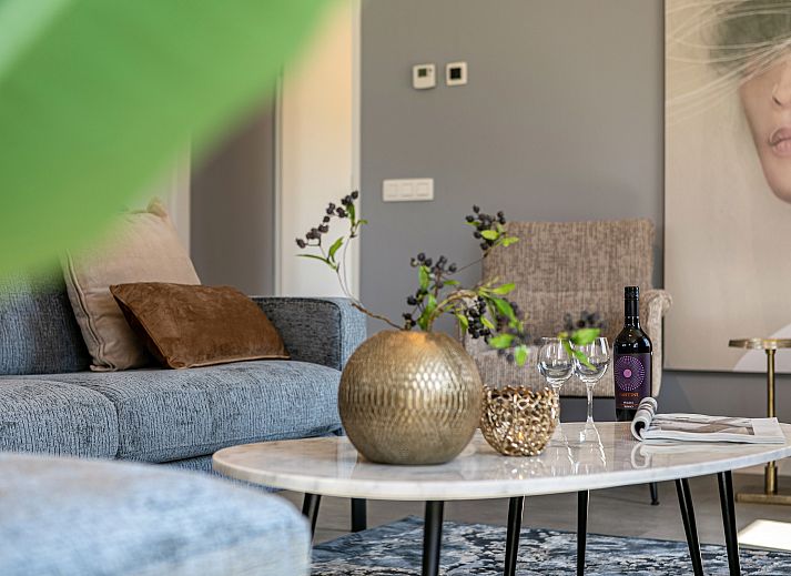 Lichte en comfortabele woonkamer in Stroombroek 8-persoons woning, Braamt, Achterhoek, Gelderland met grote ramen.