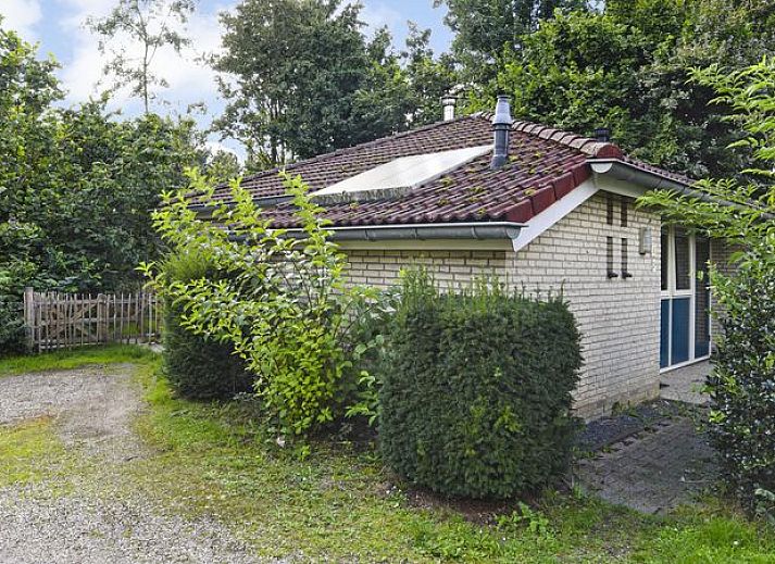 Guest house 295009 - Bungalow Achterhoek - Stroombroek | 4-persoons hondenbungalow | 4CD
