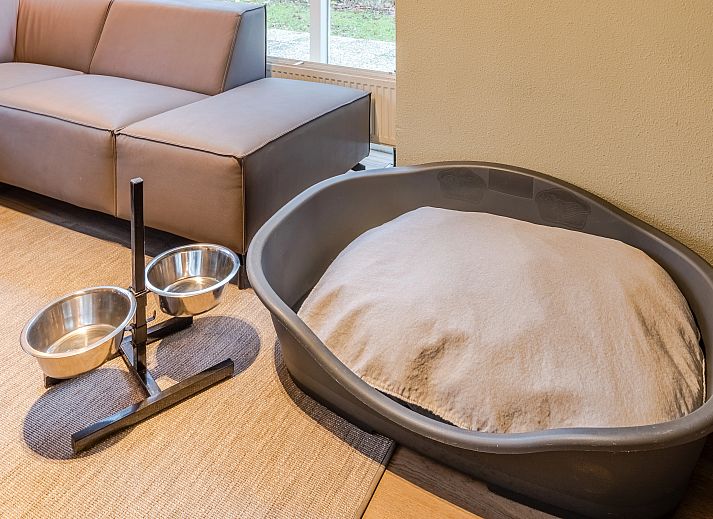 Unterkunft 295010 - Bungalow Achterhoek - Stroombroek | 6-persoons hondenbungalow | 6CD