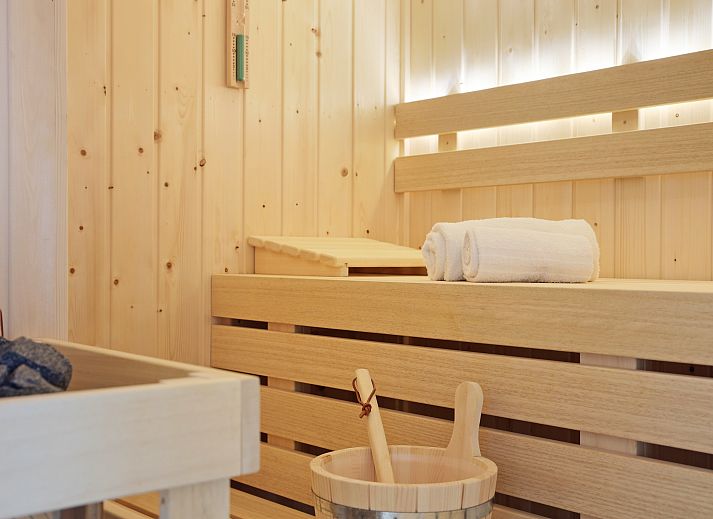 Modernes Wohnzimmer mit Kamin im Wellnessbungalow Stroombroek, Braamt, Achterhoek, Gelderland.