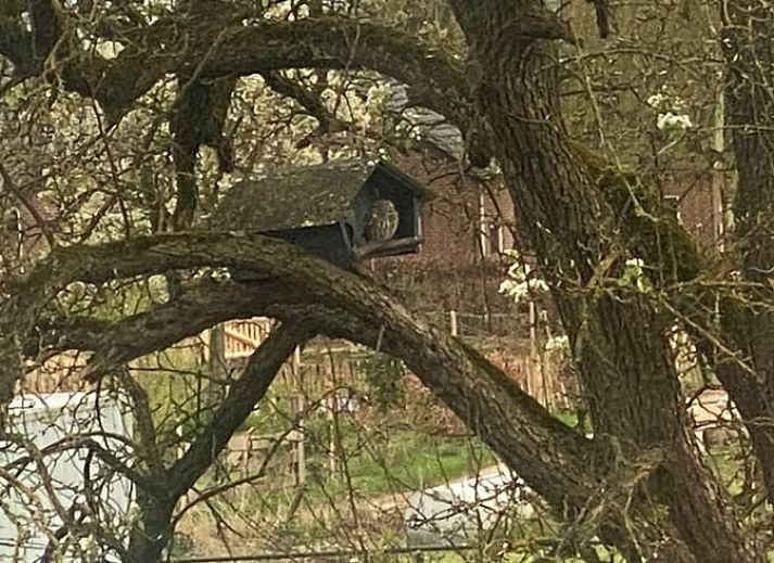 Modern Kitchen in Holiday Home in Gaanderen, Achterhoek