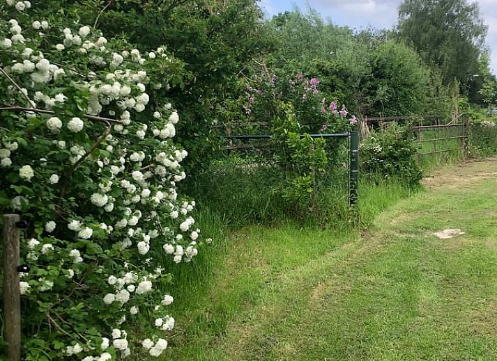 Dining table with view in Holiday home in Gaanderen, Gelderland
