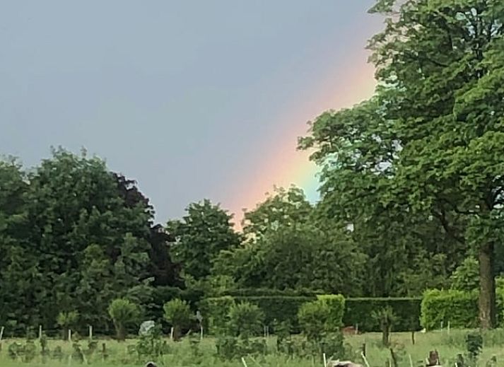 Dining table with view in Holiday home in Gaanderen, Gelderland