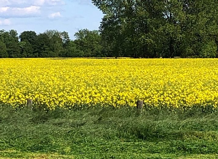 Dining table with view in Holiday home in Gaanderen, Gelderland