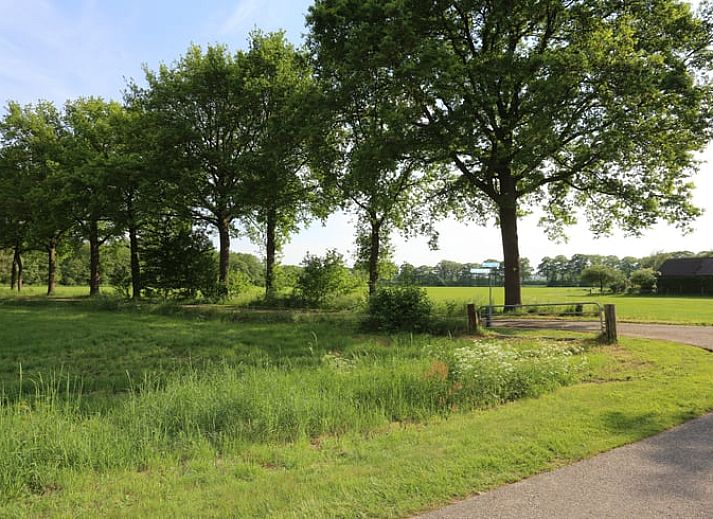 Guest house 295804 - Holiday property Achterhoek - Vakantiehuisje in Lievelde