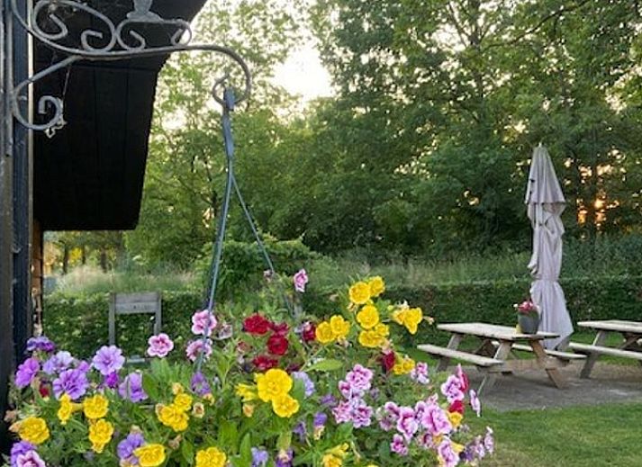 Guest house 295806 - Holiday property Achterhoek - Vakantiehuis in Lievelde
