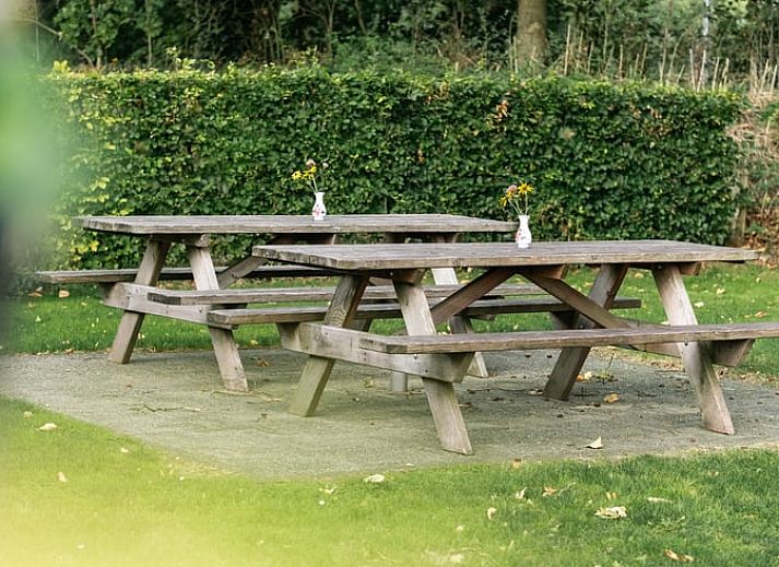 Spielplatz und Picknicktische im Ferienhaus in Lievelde, Achterhoek, Gelderland.