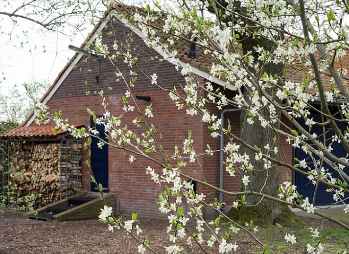 Enjoy the sunset from the hot tub at Holiday Home in Lievelde, located in the rustic Achterhoek, Gelderland.