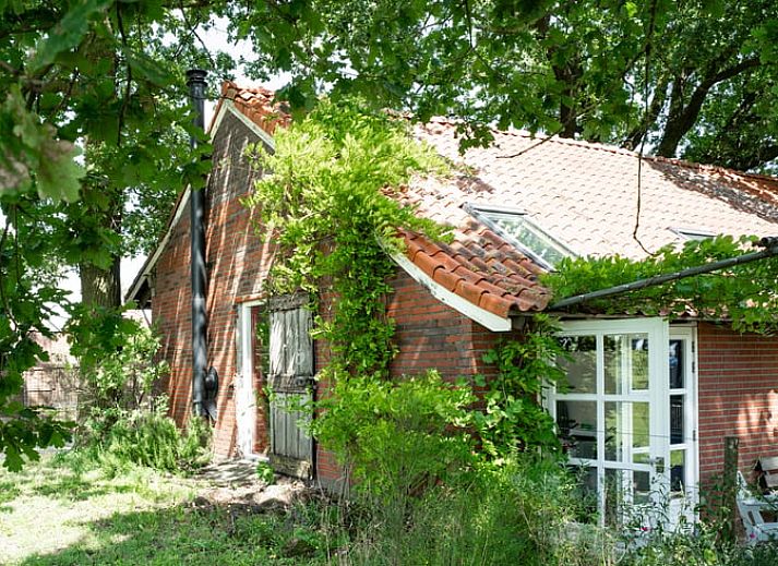 Enjoy the rural setting at Holiday home in Lievelde, Achterhoek, with swimming pool and views of grazing cows in Gelderland.