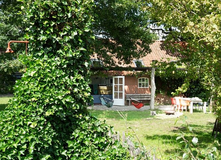 Enjoy the rural setting at Holiday home in Lievelde, Achterhoek, with swimming pool and views of grazing cows in Gelderland.
