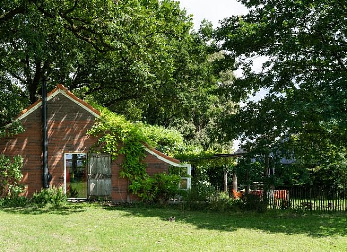Enjoy the rural setting at Holiday home in Lievelde, Achterhoek, with swimming pool and views of grazing cows in Gelderland.