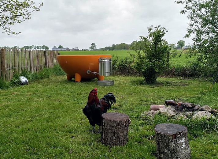 Gemuetliches Wohnzimmer im Ferienhaus in Lievelde, Achterhoek, Gelderland. Gemuetliche Sitzecke mit modernen Moebeln und offenen Tueren.