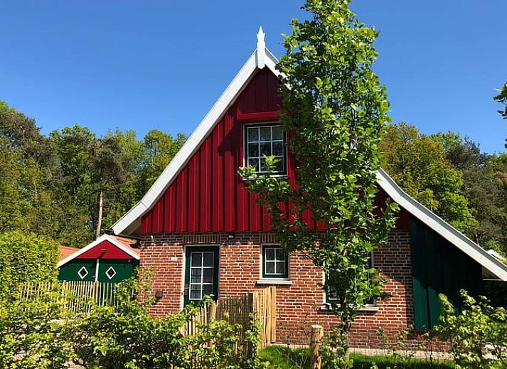 Charming cottage in Lievelde, Achterhoek, surrounded by nature and tranquility.