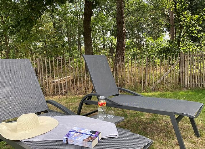 Charming cottage in Lievelde, Achterhoek, surrounded by nature and tranquility.