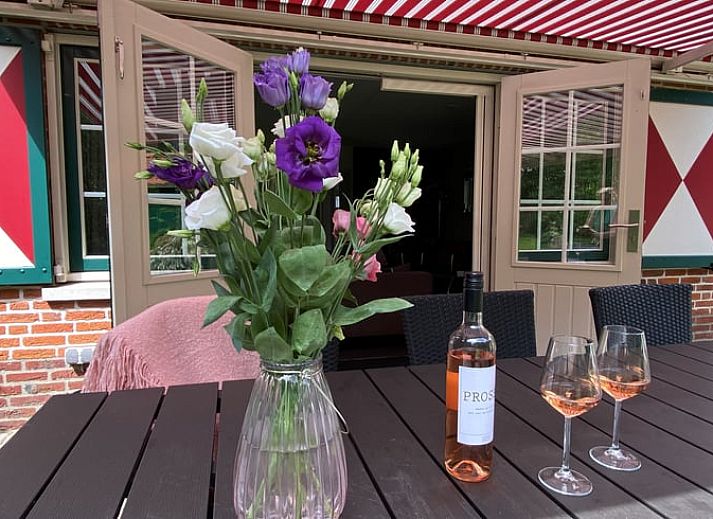 Flowery garden at cottage in Lievelde, Achterhoek, ideal for relaxation.