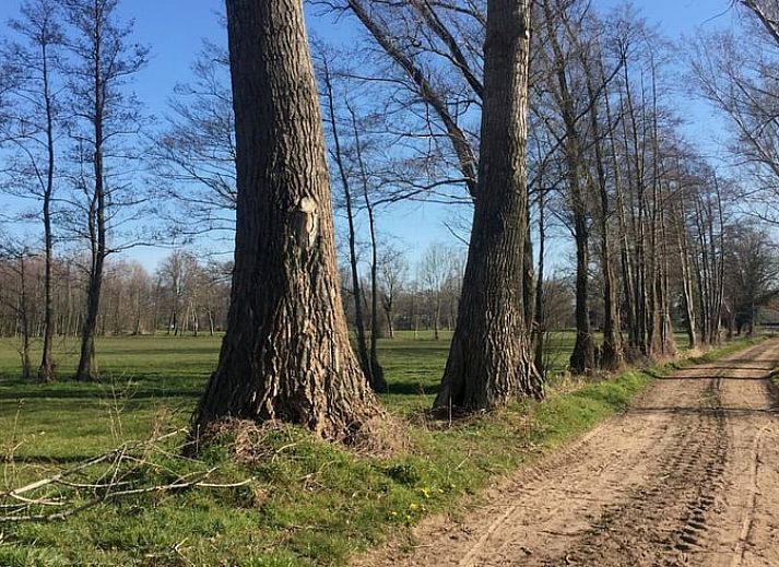 Verblijf 295816 - Vakantiewoning Achterhoek - Huisje in Lievelde