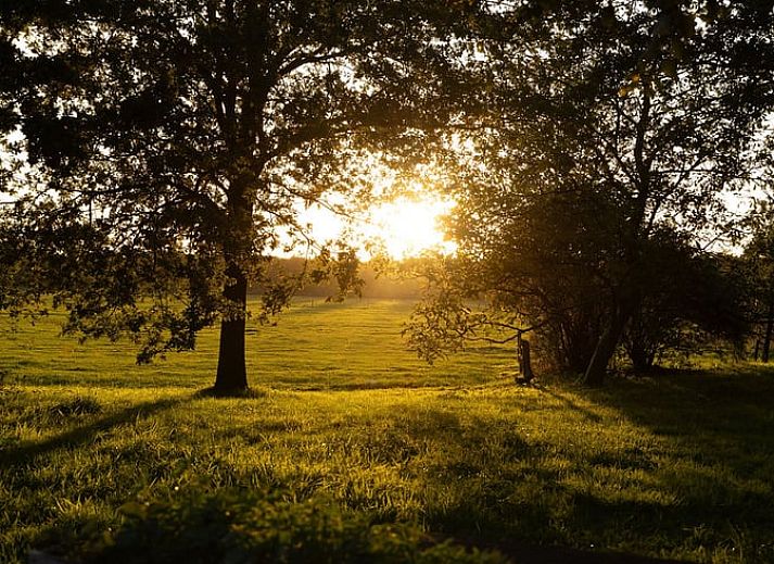 Verblijf 295822 - Vakantiewoning Achterhoek - Huisje in Lievelde