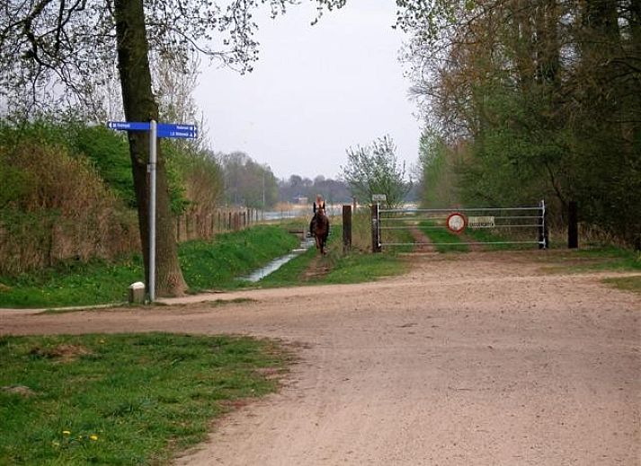 Comfortabele woonkamer in vakantiehuis van mooistevakantiehuis.nl te Winterswijk, Achterhoek, met luxe interieur.
