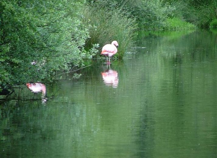 Moderne keuken met eethoek in vakantiehuis van mooistevakantiehuis.nl in Winterswijk, Achterhoek, met tuinzicht.