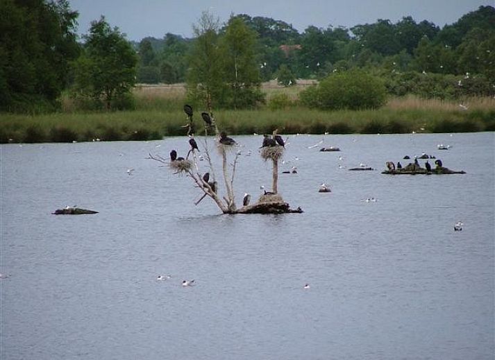 Moderne keuken met eethoek in vakantiehuis van mooistevakantiehuis.nl in Winterswijk, Achterhoek, met tuinzicht.