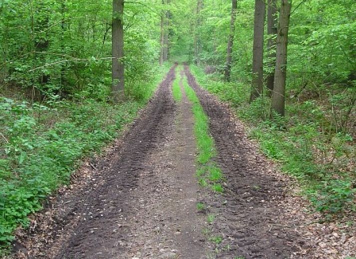 Zonnige loungeplek bij WegInWinterswijk vakantiehuis in Winterswijk, Achterhoek met ligstoelen en groene omgeving.