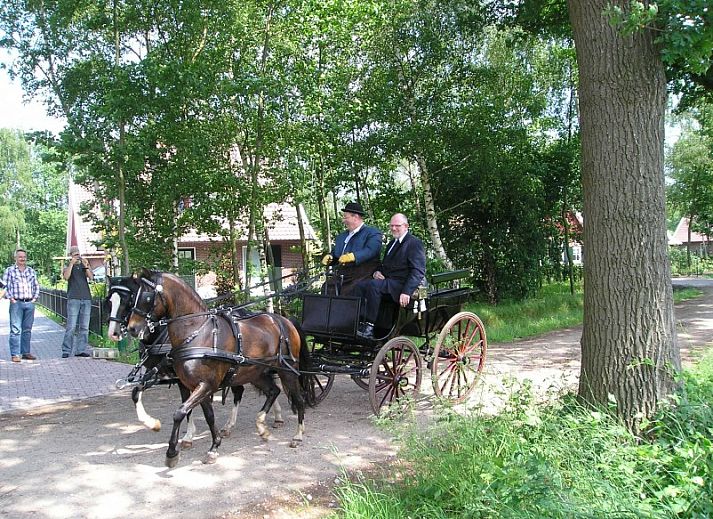Groene tuin met hekwerk bij WegInWinterswijk vakantiehuis in Winterswijk, Achterhoek omgeven door bomen.
