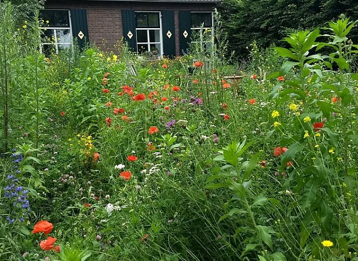 Verblijf 296211 - Vakantiewoning Achterhoek - Huisje in Breedenbroek Achterhoek