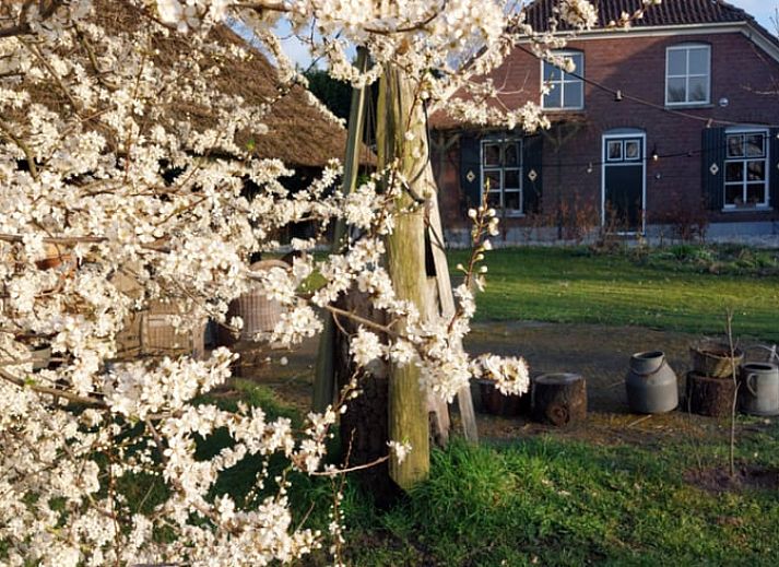 Verblijf 296211 - Vakantiewoning Achterhoek - Huisje in Breedenbroek Achterhoek