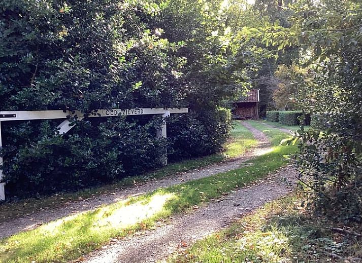 Cottage in Winterswijk Brinkheurne, Ferienhaus in Achterhoek, Gelderland, umgeben von gruener Natur und ruhiger Umgebung.