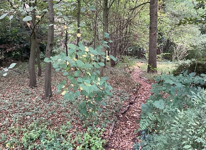 Zufahrt zum Cottage in Winterswijk Brinkheurne, Ferienhaus inmitten der Natur in Achterhoek, Gelderland.