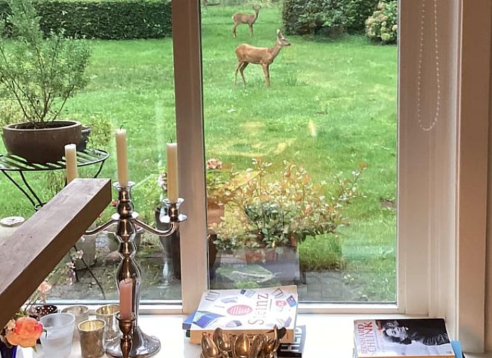 Geniessen Sie die Ruhe und den Frieden im Huisje in Winterswijk Brinkheurne, einem attraktiven Ferienhaus in der gruenen Landschaft von Gelderland, Achterhoek.