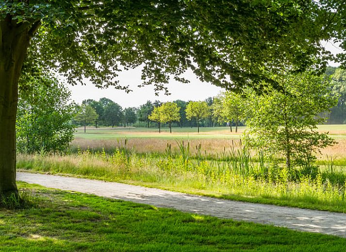 Guest house 296607 - Holiday property Achterhoek - Vakantiehuis in Winterswijk Henxel