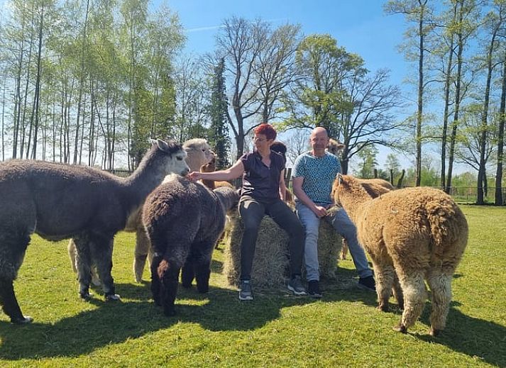 Gemuetlicher Innenbereich des Huisje in De Heurne, Ferienhaus in Achterhoek, Gelderland, mit einladender Essecke und dekorativem Wandbild.