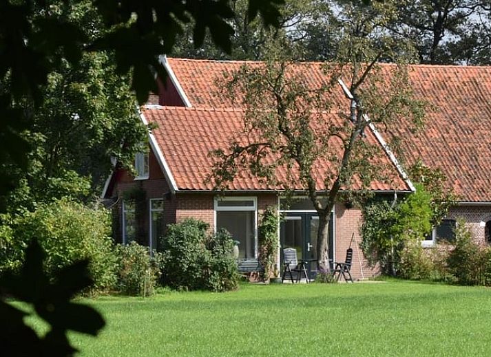 Guest house 296806 • Holiday property Achterhoek • Vakantiehuis in Winterswijk Kotten 