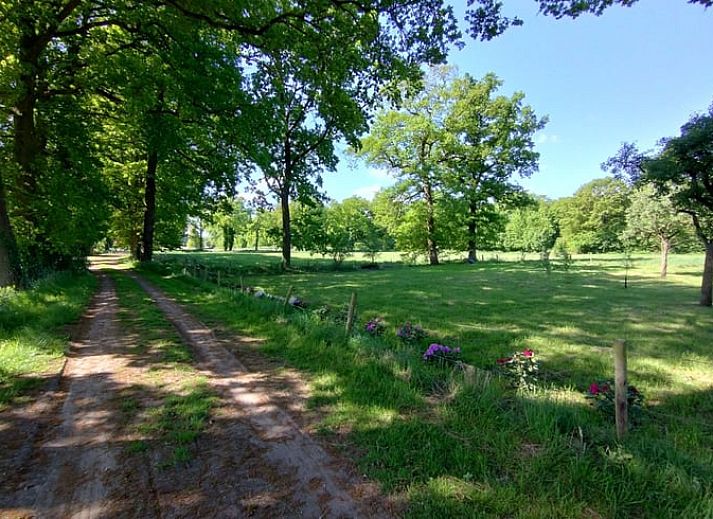 Rustic surroundings of Holiday home in Winterswijk Kotten, ideal for nature lovers in the Achterhoek.