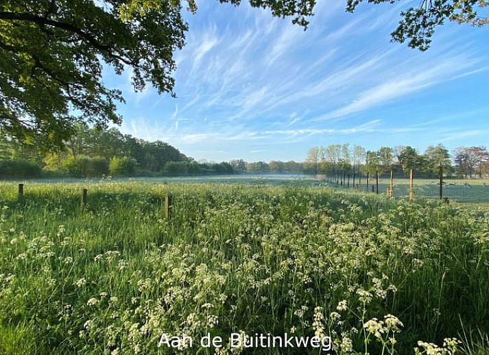 Cozy living room of cottage in Winterswijk Kotten, equipped with modern conveniences in Gelderland.
