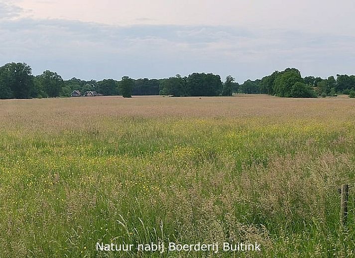 Stylish kitchen in Holiday Home in Winterswijk Kotten, perfect for culinary adventures in the Achterhoek.